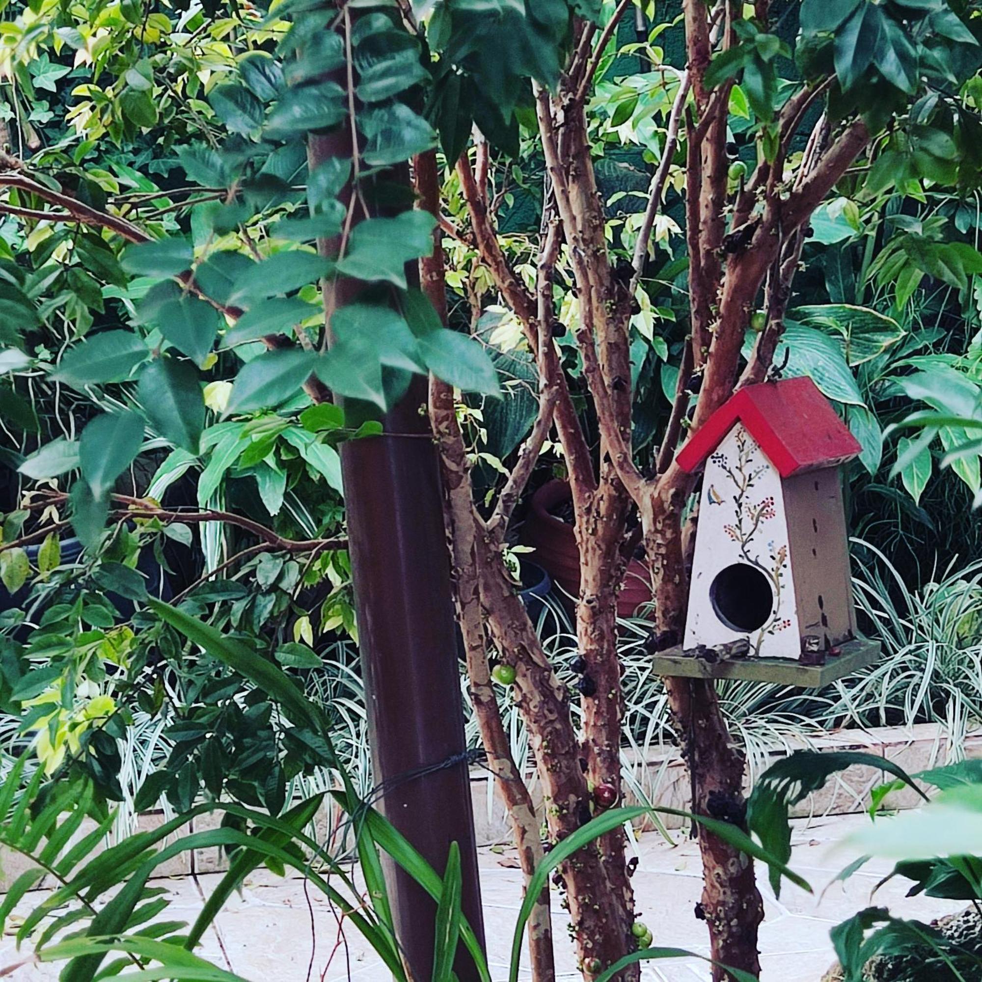 Recanto Toca Das Plantas De Ilhabela II Экстерьер фото