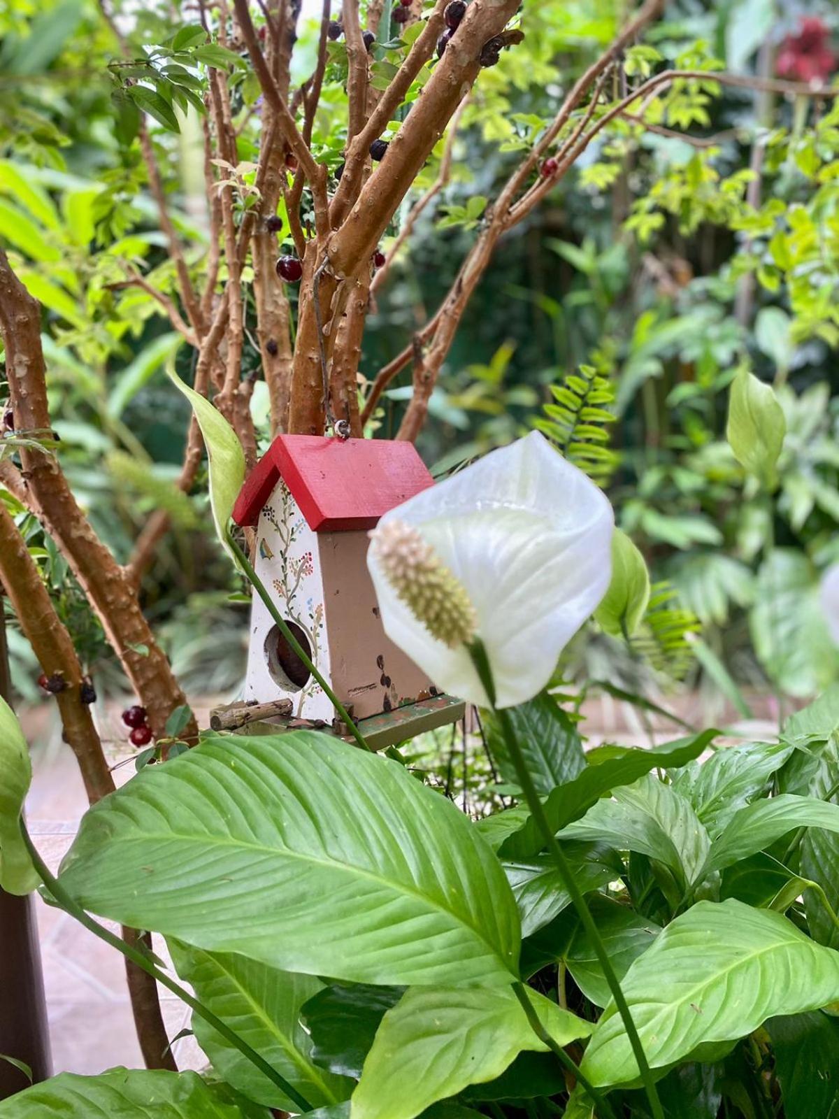 Recanto Toca Das Plantas De Ilhabela II Номер фото